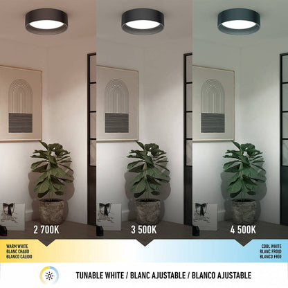 Artika Alton LED Ceiling Light