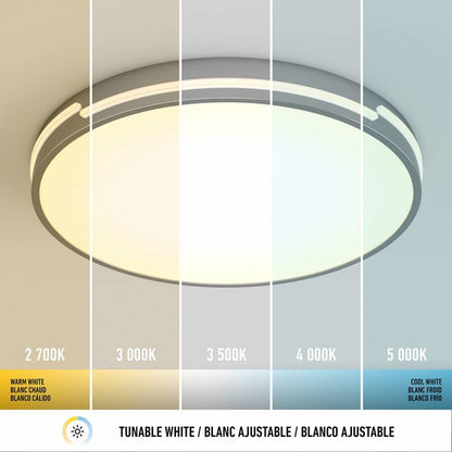 Artika Delray LED Ceiling Light